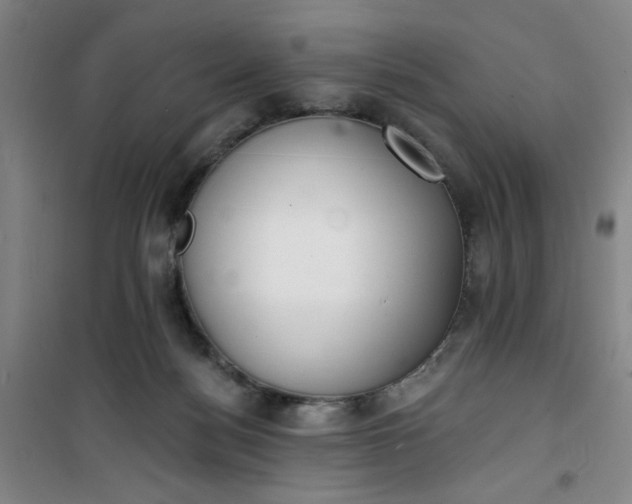 X0000101150172200807111014