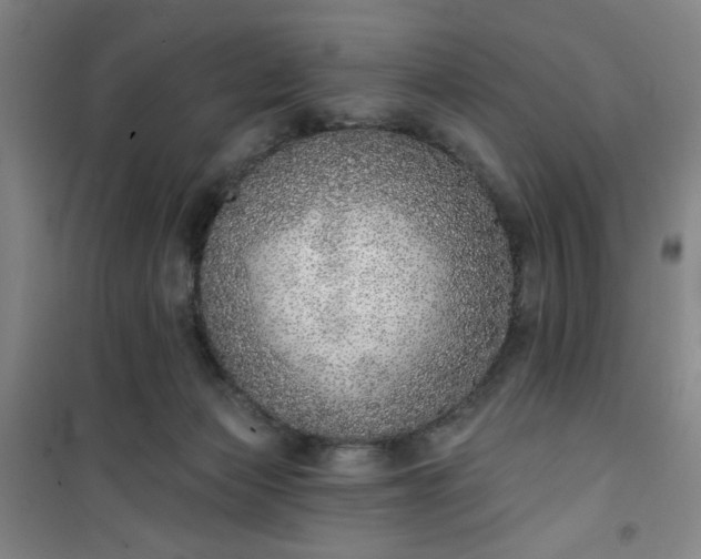 X0000101150173200807111014