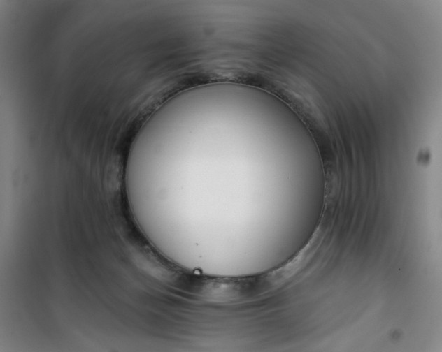 X0000101150174200807111014