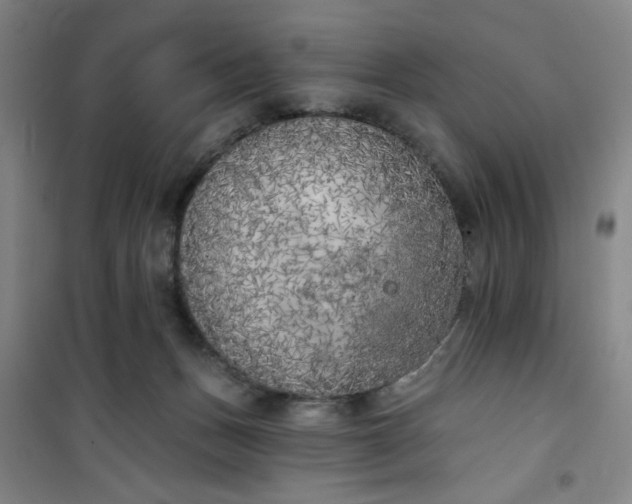 X0000101150175200807111014