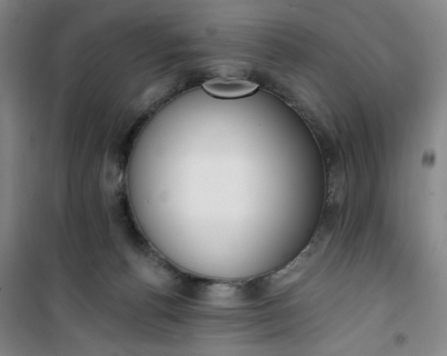 X0000101150176200807111014