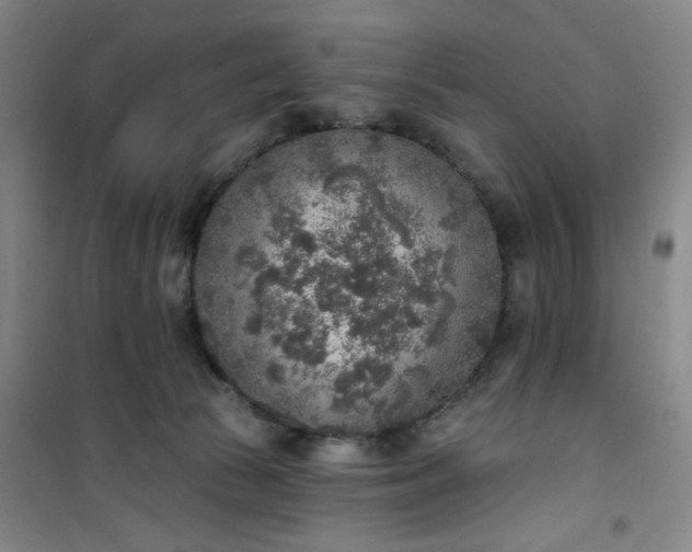 X0000101150177200807111014