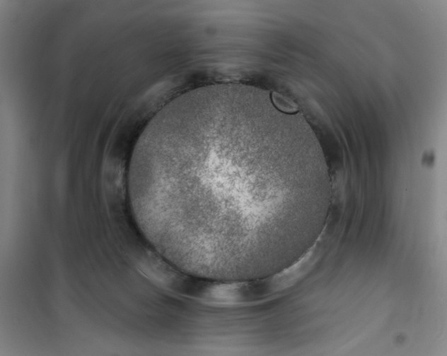 X0000101150178200807111014