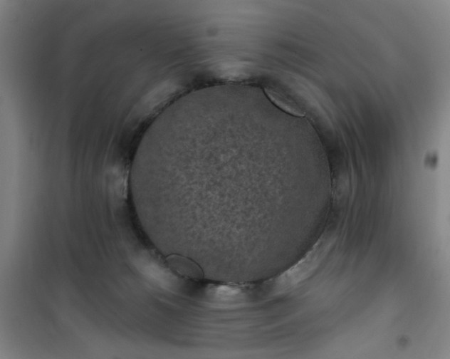 X0000101150180200807111014