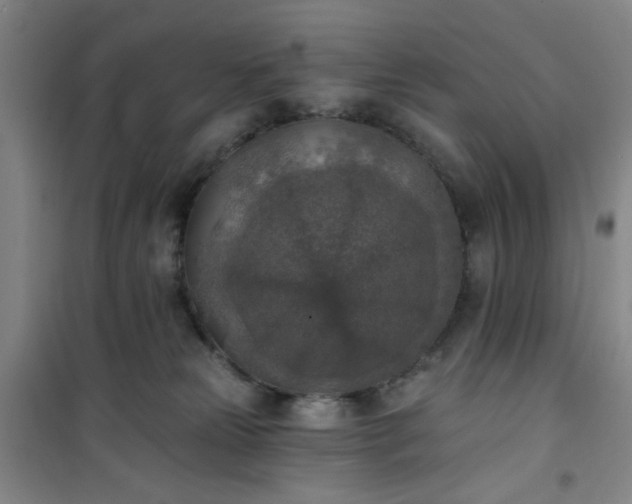 X0000101150181200807111014