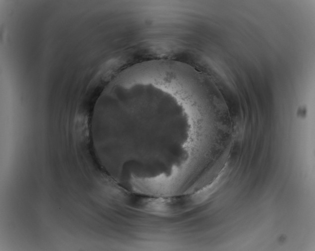 X0000101150182200807111014