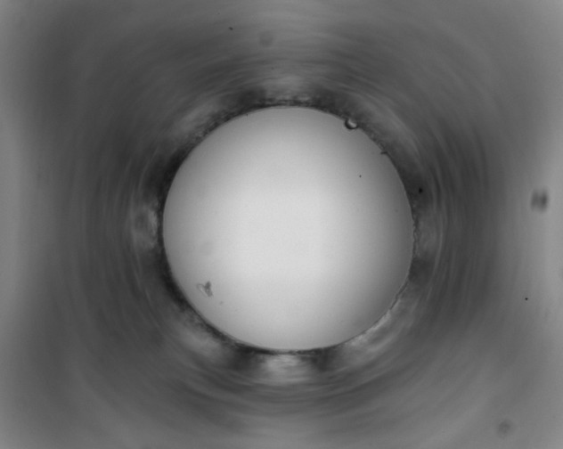 X0000101150183200807111014