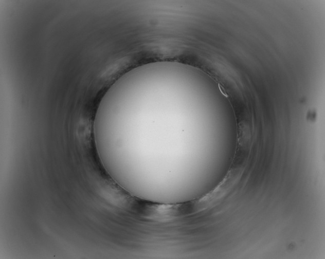 X0000101150184200807111014