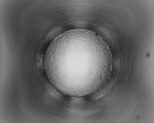 X0000101150185200807111014