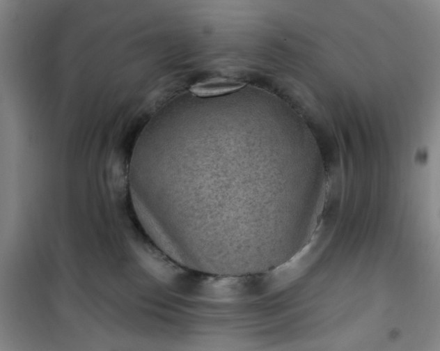 X0000101150186200807111014