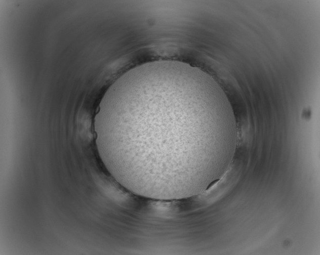 X0000101150187200807111014