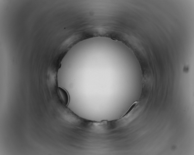 X0000101150188200807111014