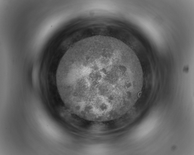 X0000101150189200807111014