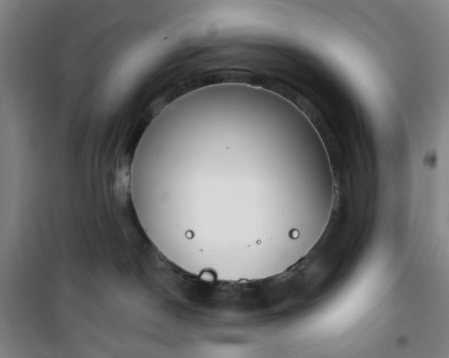 X0000101150190200807111014