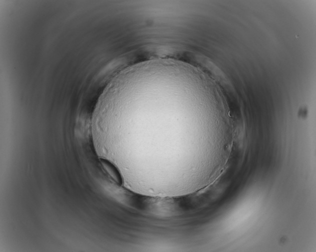 X0000101150191200807111014