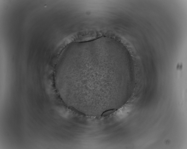 X0000101150192200807111014