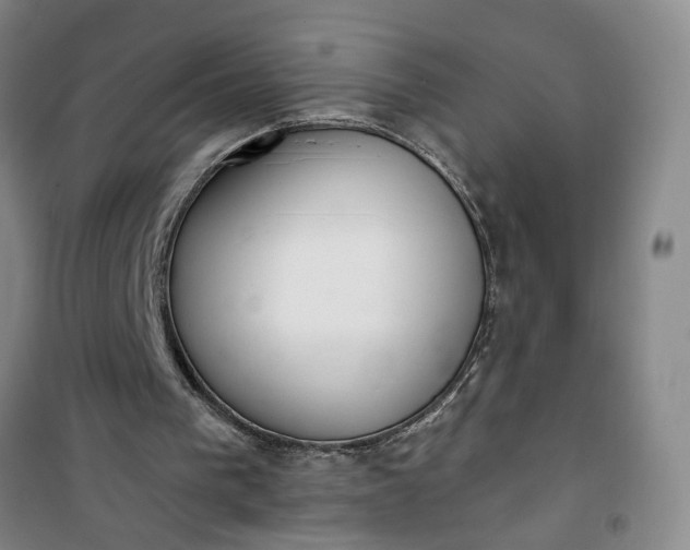 X0000101150193200807111013