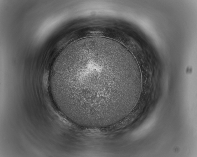 X0000101150194200807111013