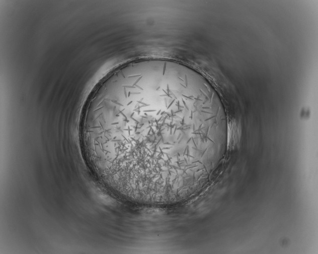 X0000101150195200807111013