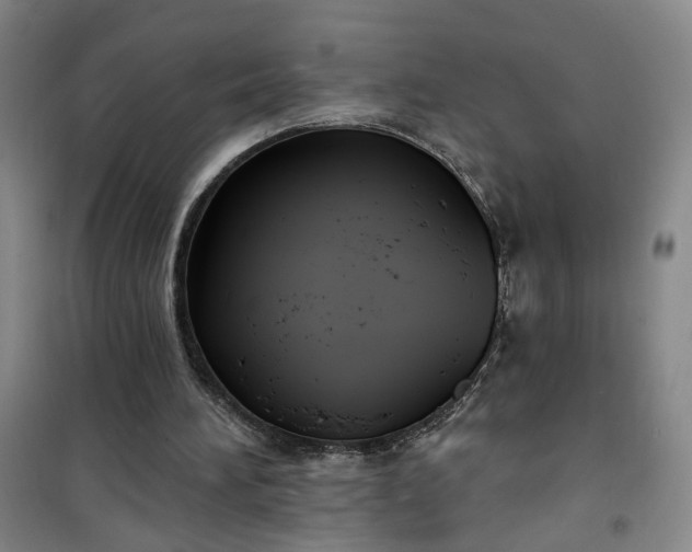 X0000101150196200807111013