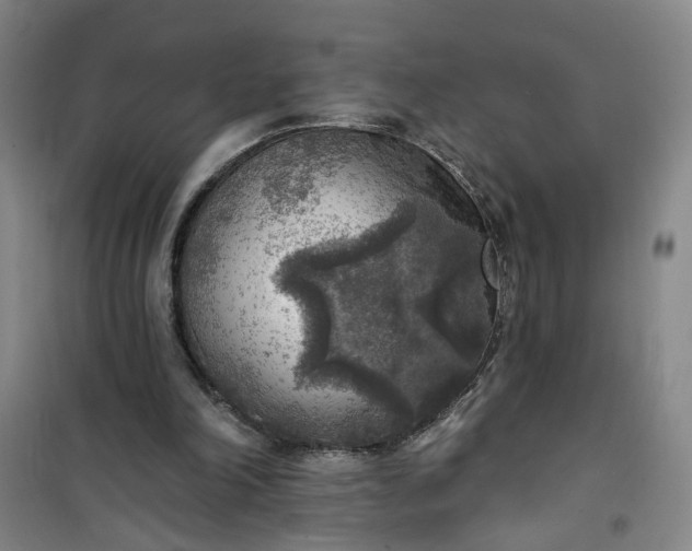 X0000101150198200807111013