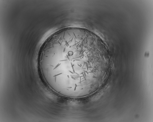 X0000101150199200807111013