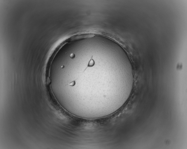 X0000101150200200807111013