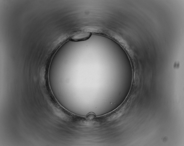 X0000101150201200807111013