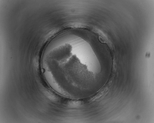 X0000101150202200807111013