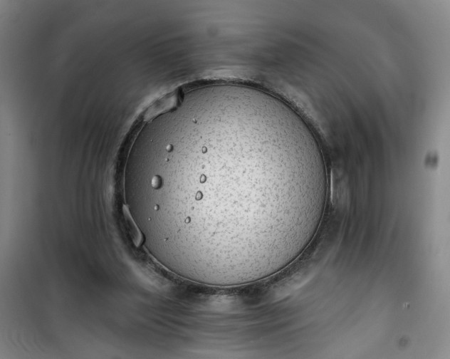 X0000101150204200807111013