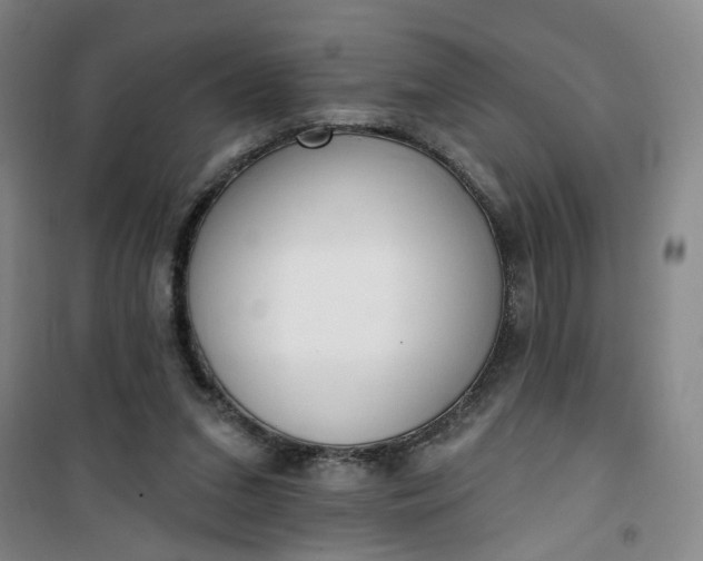 X0000101150207200807111013