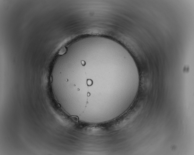 X0000101150208200807111013