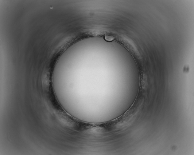 X0000101150210200807111013