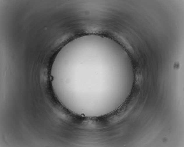 X0000101150211200807111013