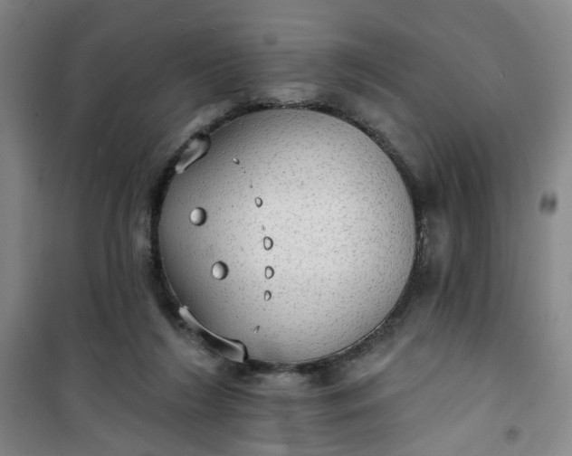 X0000101150212200807111013