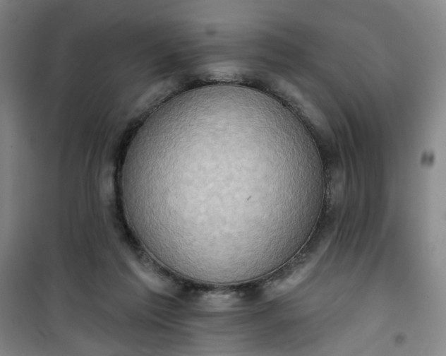 X0000101150213200807111013