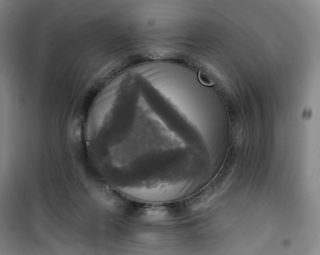 X0000101150214200807111013