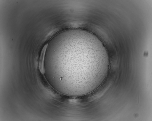 X0000101150216200807111013