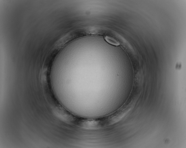 X0000101150217200807111013