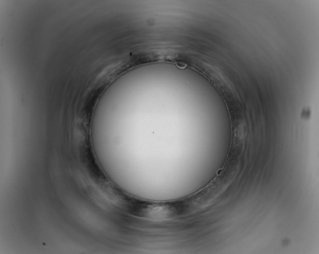 X0000101150218200807111013