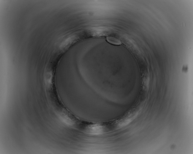 X0000101150219200807111013