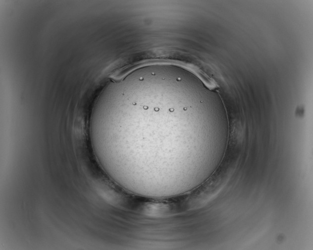 X0000101150220200807111013