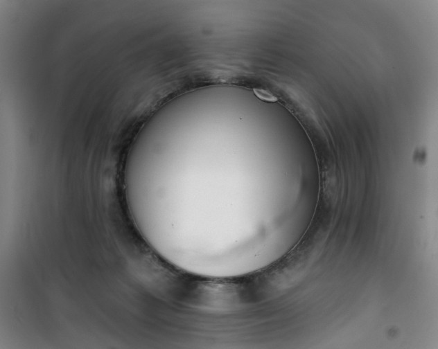 X0000101150221200807111013