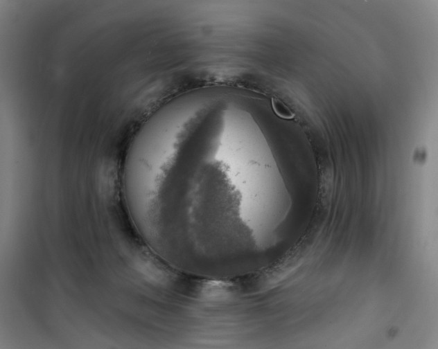 X0000101150222200807111013