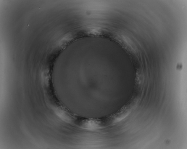 X0000101150223200807111013