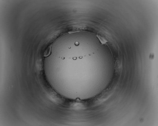 X0000101150224200807111013