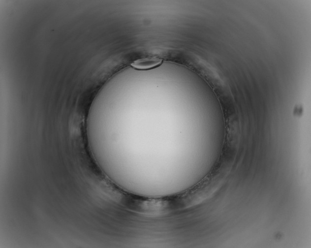 X0000101150225200807111013