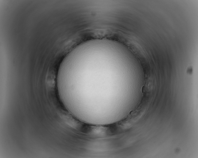 X0000101150226200807111013