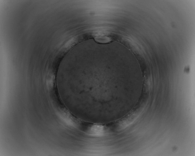 X0000101150227200807111013