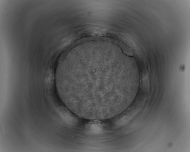 X0000101150228200807111013